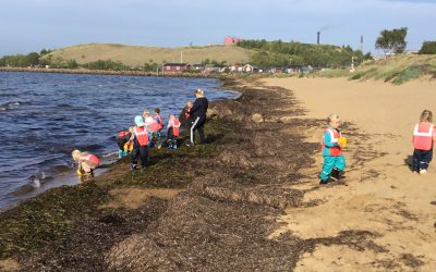 Utflykt till stranden