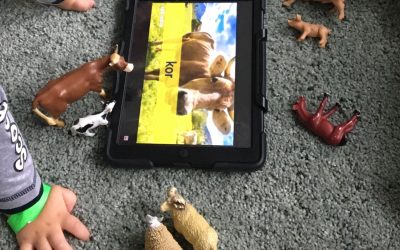 Matematik och Digitalisering – Små ✨