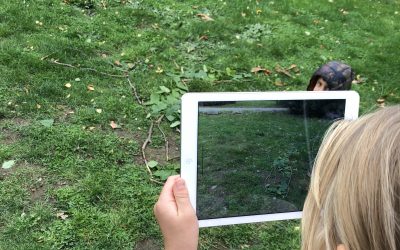 Fortsättning Land Art