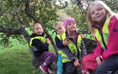 Heldagsutflykt☀️