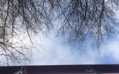 Onsdag 21/11-18 Små ✨