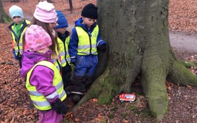 ☀️Händelserunda i Ramlösaskogen.