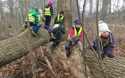 Solen.   Ramlösaskogen. Motorik träning