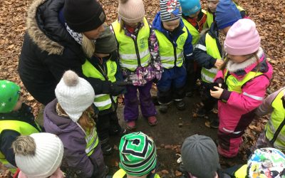 Solen . Alla hjärtans dag pyssel i skogen
