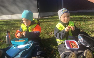 Solen. Bussutflykt Adolfsberg. Och Pelle Svanslös dockteater med sång
