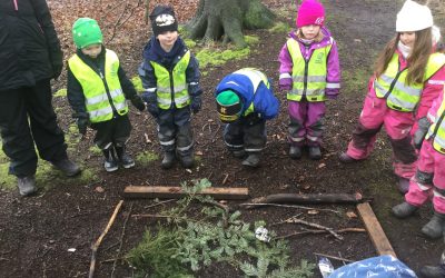 Solen. Natur-ruta. Gör en tavla av skogsfynd