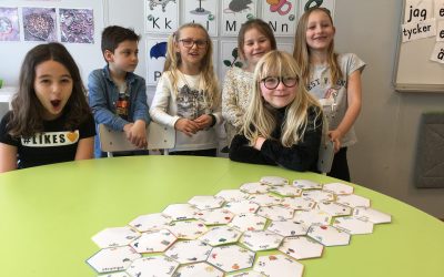 Samarbete i Bygg och konstruktion !