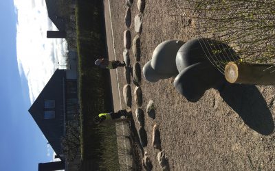 småstjärnor ✨ tisdag