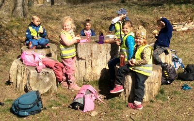 ☀️Heldagsutflykt