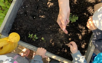 Stjärnorna ✨ Tisdag