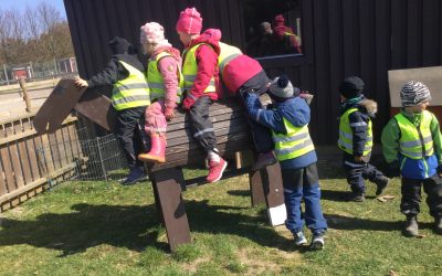 Solen. Besöker kor. Tågutflykt