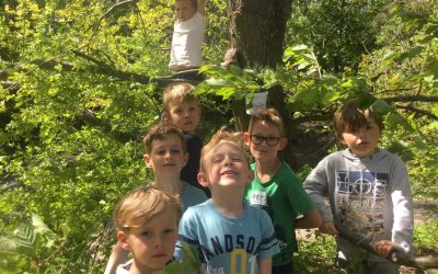 Natur och samhälle. Rädda vår humlor och bin.