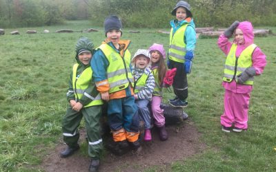 Solen.  Barnens skog .Filborna