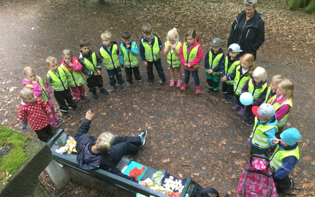 Solen. Friskvårdsveckan. Frukt är nyttigt.