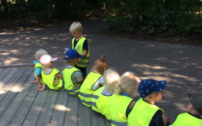 ☀️Sommaruppgift!