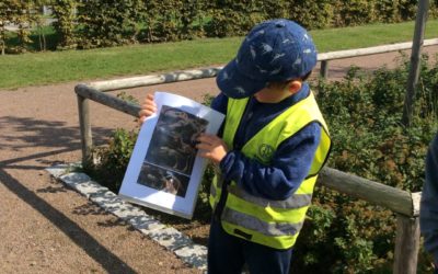 ☀️Redovisning av sommarläxan?