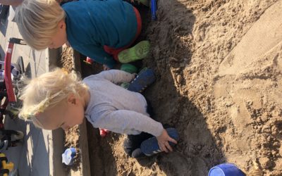 Småstjärnornas inskolning