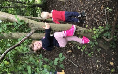 Värdegrundsarbete ht 2019