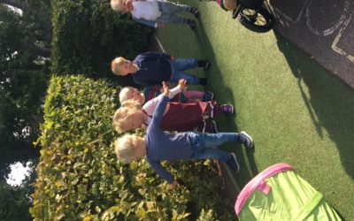 Storstjärnor ✨ Torsdag