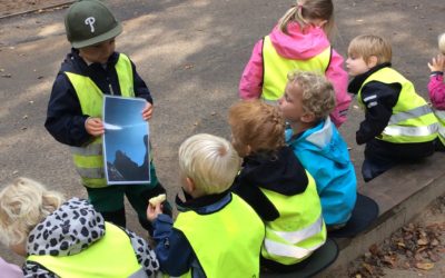 ☀️sommaruppgift redovisning!