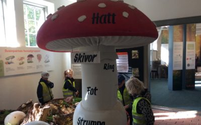 ☀️Svamputställningen på Fredriksdal!