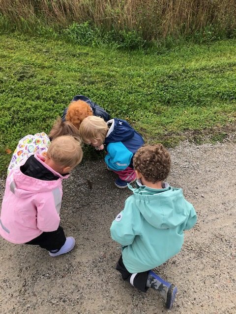 Friskvårdsvecka- Torsdag!