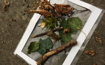 Storstjärnor✨ tisdag utedag