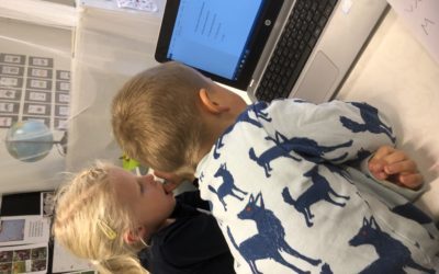 Värdegrund, trygghet,delaktighet,inflytande och skriftspråket