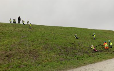 stjärnor ✨ tisdag