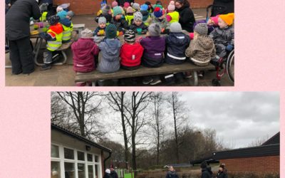 Hasaloppet Stjärnorna⭐️