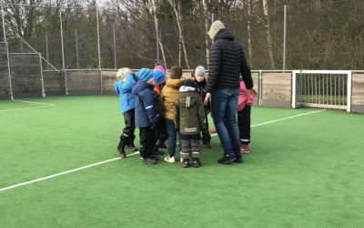 Under hökens vingar kom