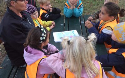 ☀️Var kommer mjölken ifrån?