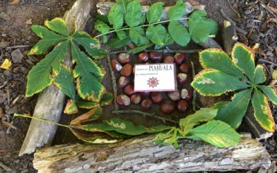 Skapa med naturmaterial