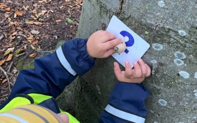 Utflykt med matematik i skogen
