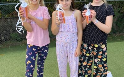 Lärmiljö: Hälsa och Idrott