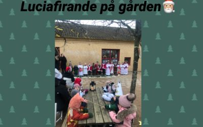 Luciafirande på gården??