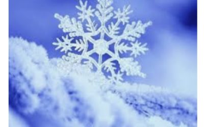 G.O.T.D, experimentsvar och bilduppgift.