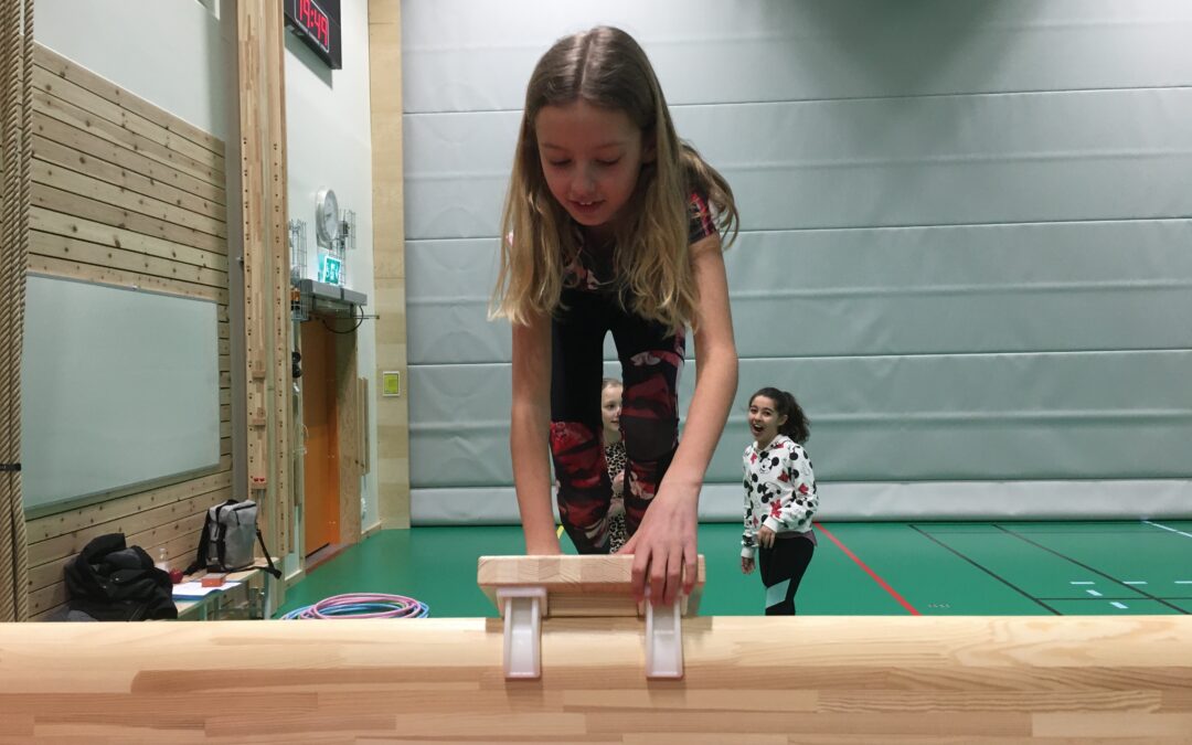 Roliga stationer på gymnastiken