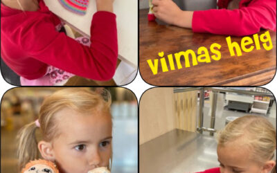 Vilmas helg och ”Proffs på nät?”