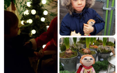 Öppet hus, Vilmas helg mm