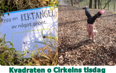 Kvadraten & Cirkelns tisdag