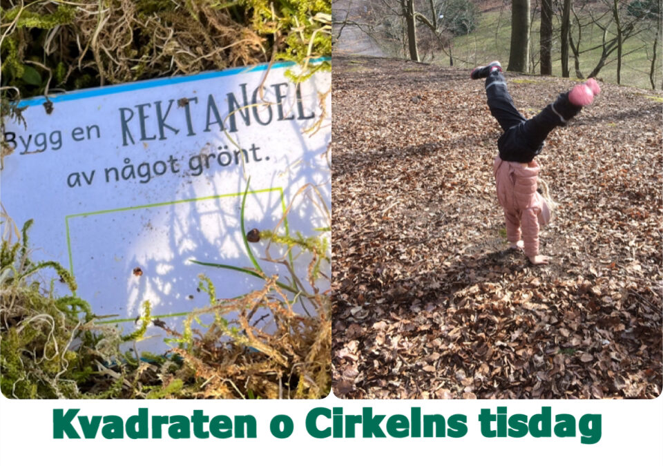 Kvadraten & Cirkelns tisdag