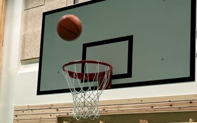 Basketfia