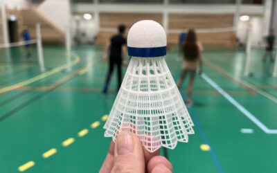 Badminton och fotbollstennis