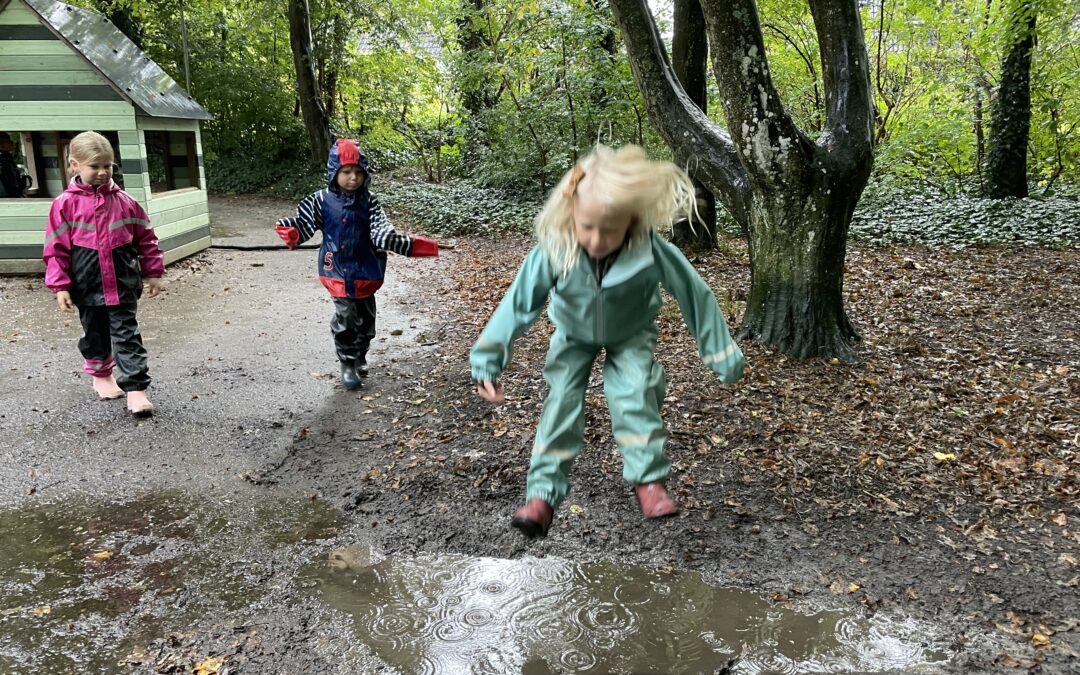 Rolig lek i Lilleskog