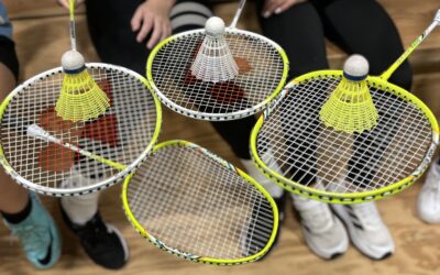 Badminton och flugsmällor