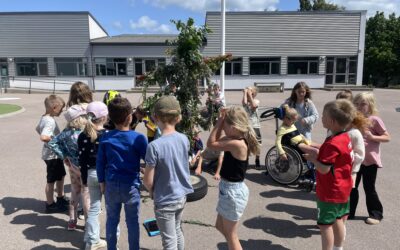 Vecka 25 sommarfritids