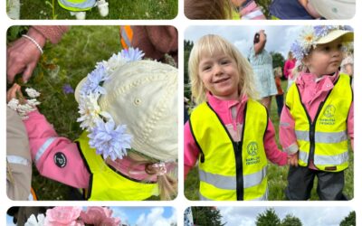 MIDSOMMAR