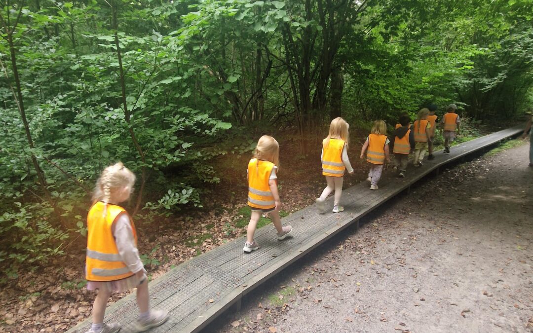 Promenad till skogen v.33