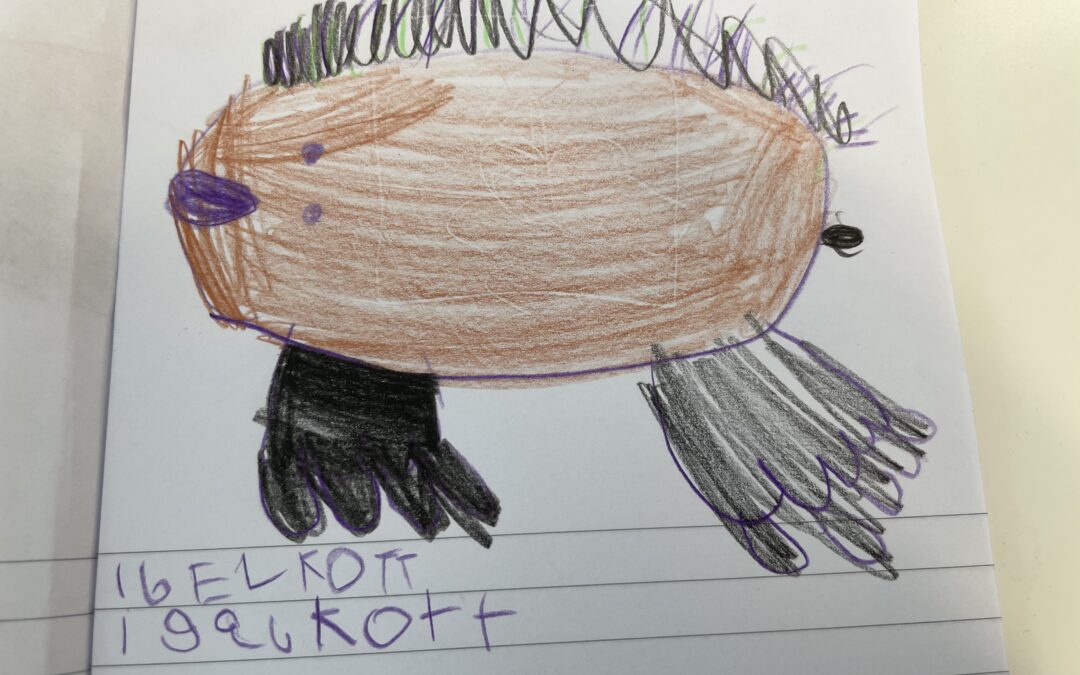 En kotte som inte växer i träd